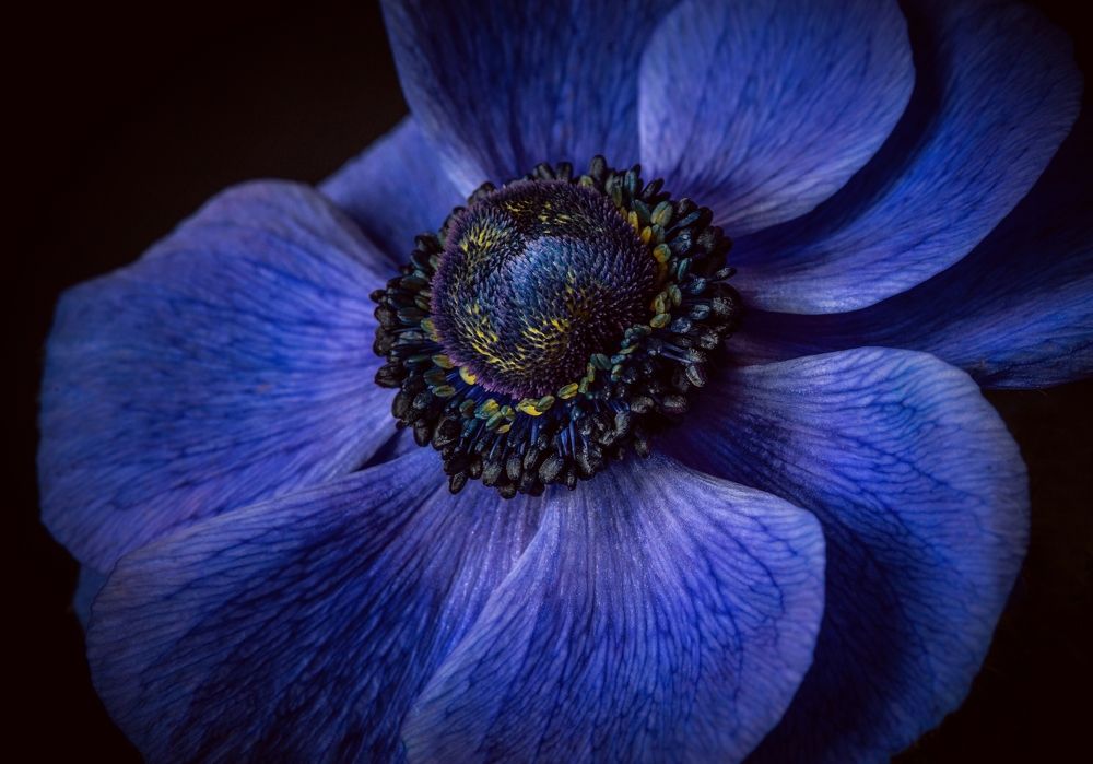 Photograph by Лапшина Владлена