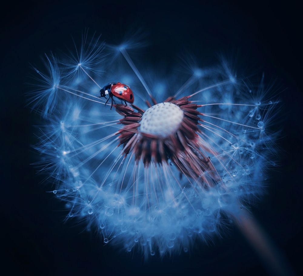 Photograph by Лапшина Владлена