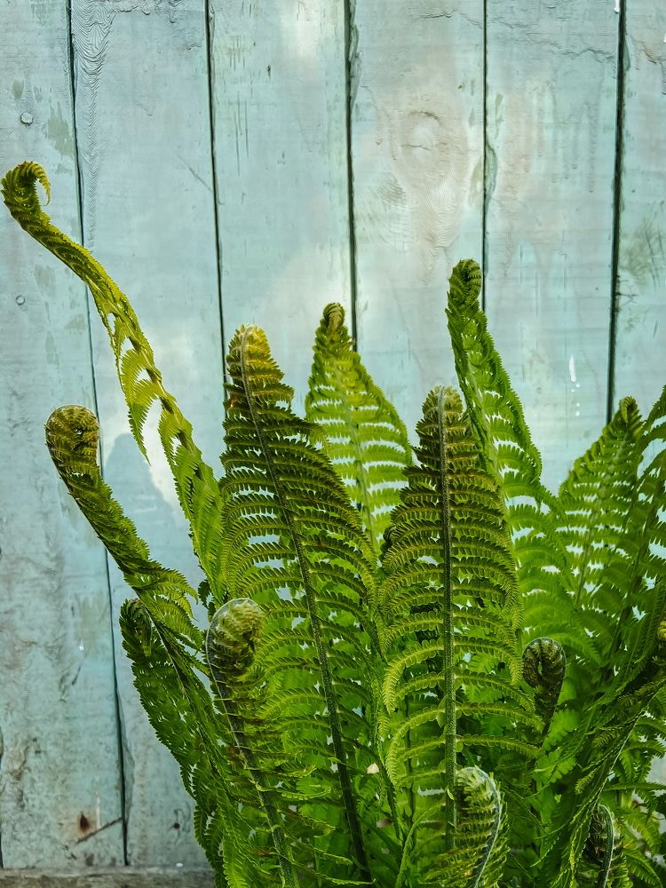 Photograph by Анна Леонова