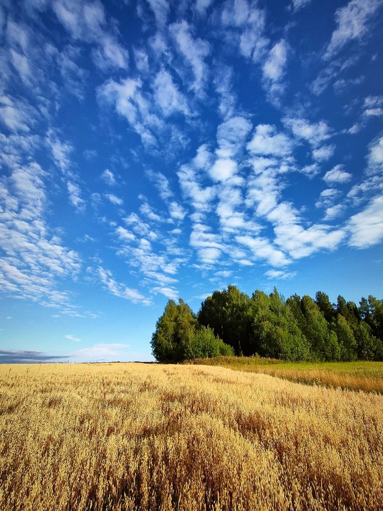Photograph by Александр Кокурин