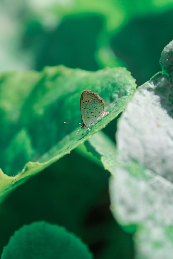 Photograph by Narjes Al_Bayat (Narjes Alzahraa)