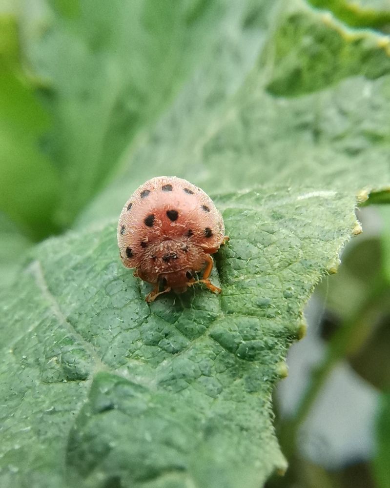 Photograph by Anil Yadav