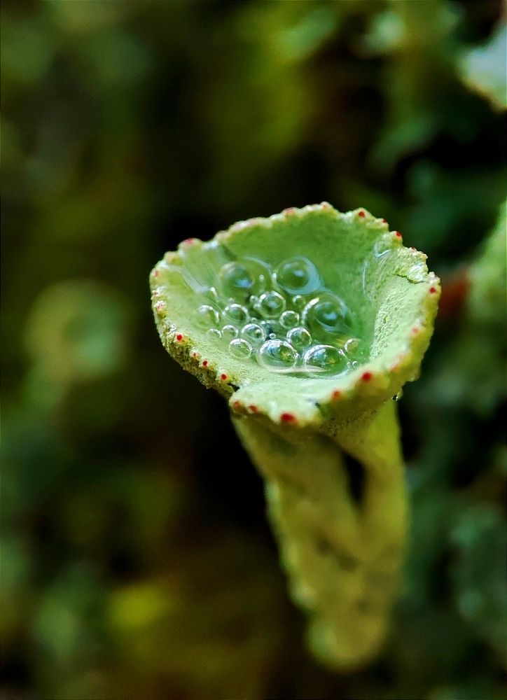 Photograph by Юлия Гинтер