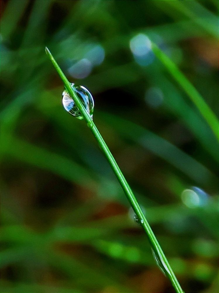 Photograph by Юлия Гинтер