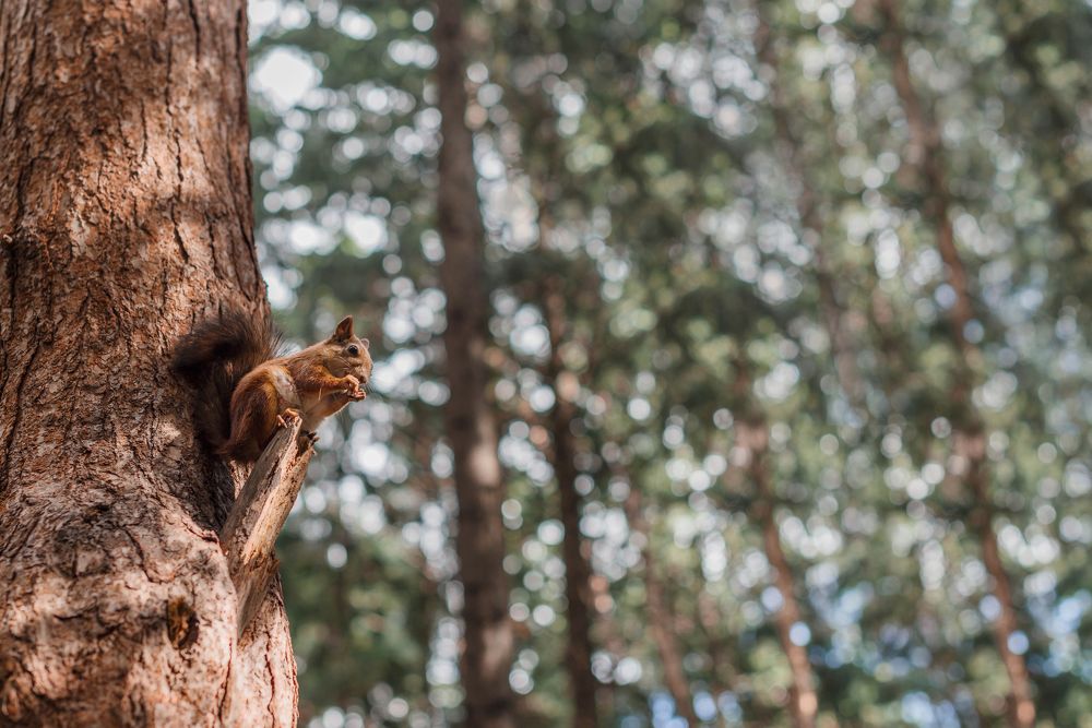 Photograph by Анастасия Махрова