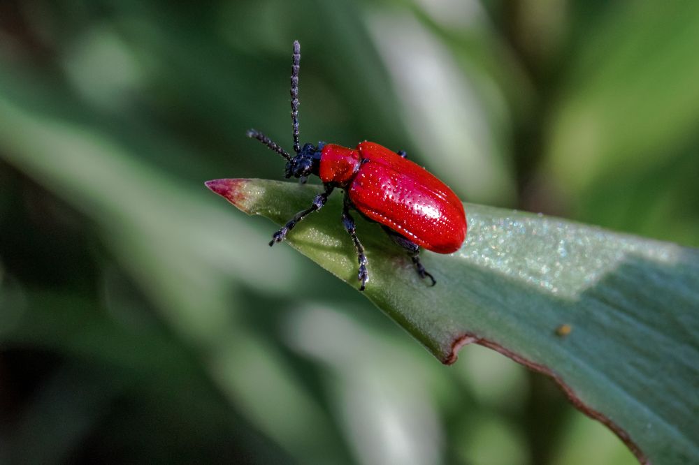 Photograph by Сергей Зайцев