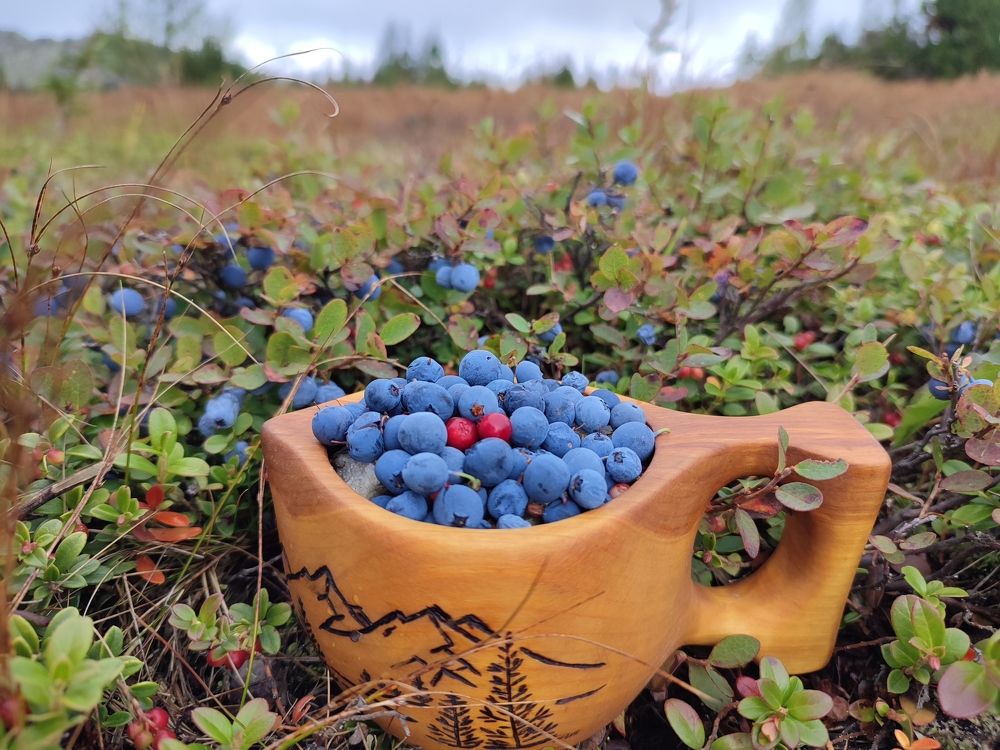 Photograph by Юлия Гинтер