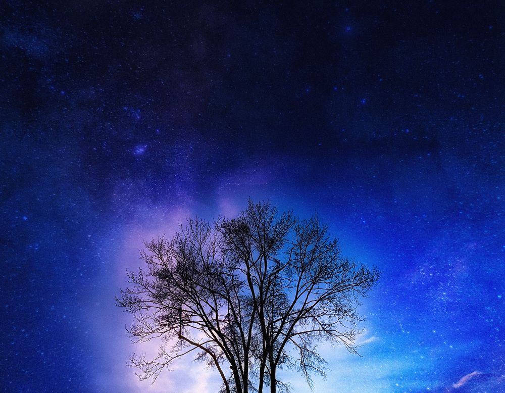 Photograph by Юлия Чиклеева