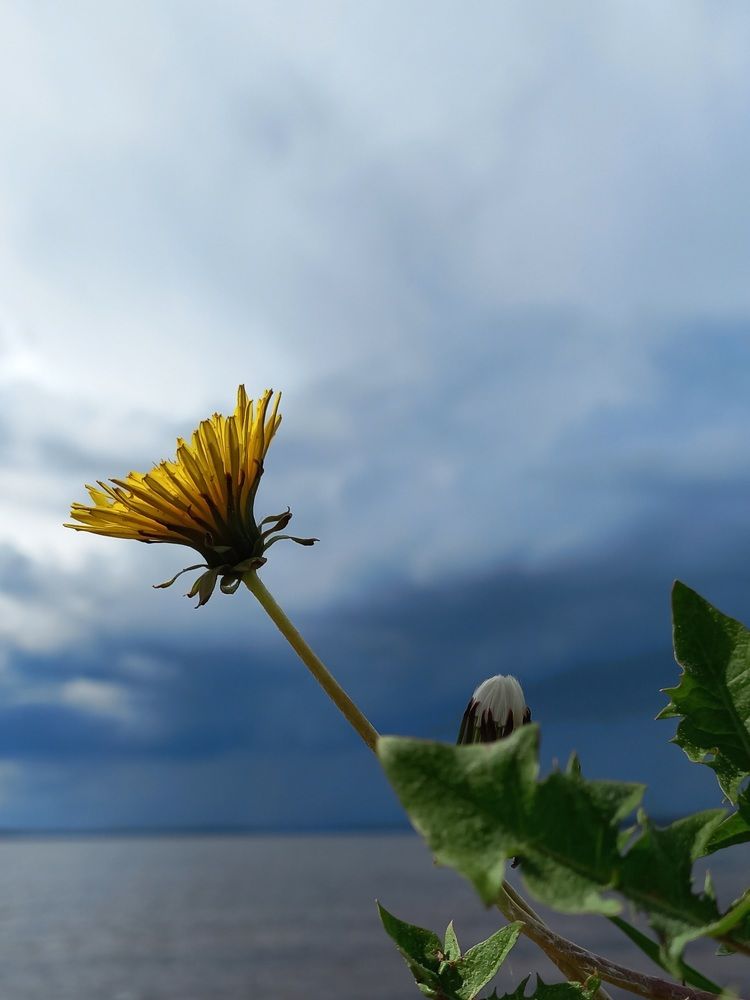 Photograph by Зоя Кулько