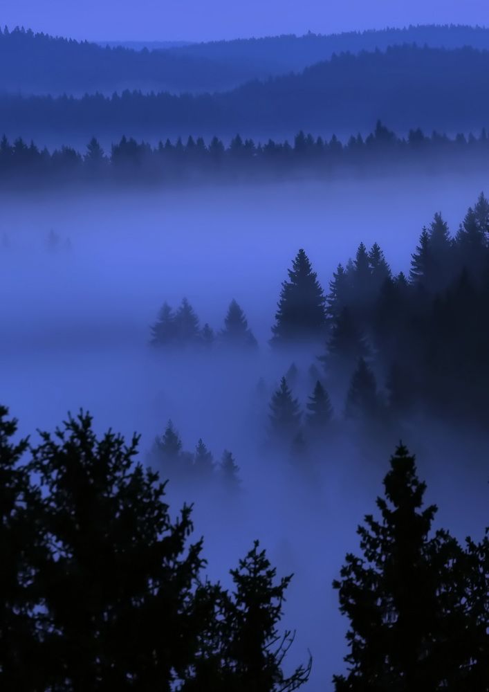 Синий туман