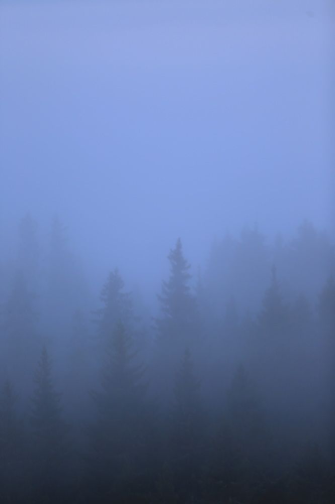 Photograph by Дмитрий Петухов