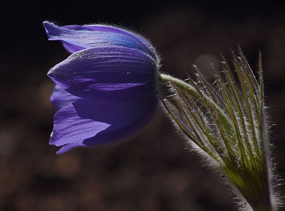 Photograph by Василий Быстрицкий