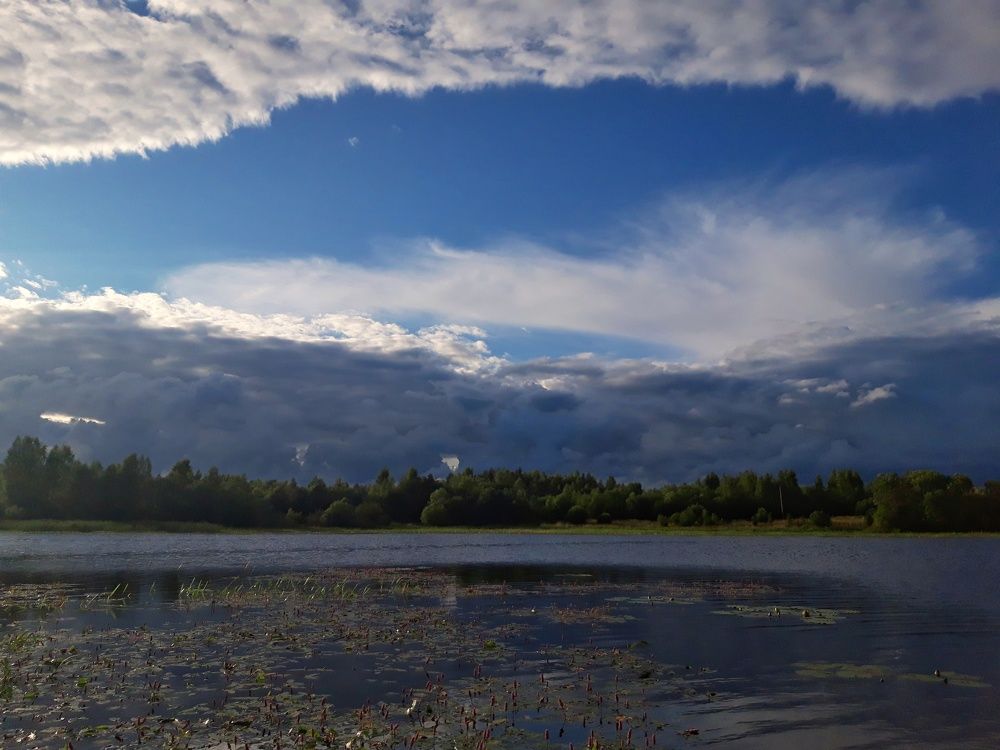 Photograph by Анжелика Медведева