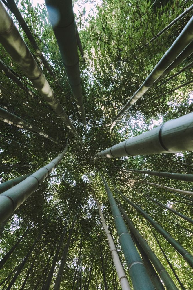 Photograph by Dina Abubakirova