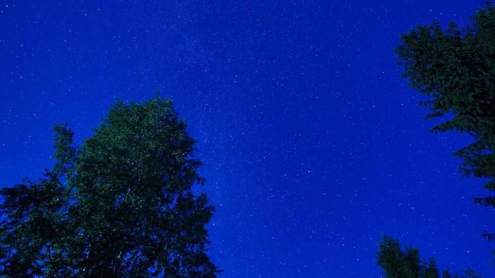 Photograph by Таисия Ермакова