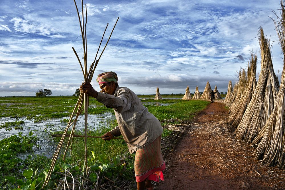 Photograph by Rohit Mazumdar