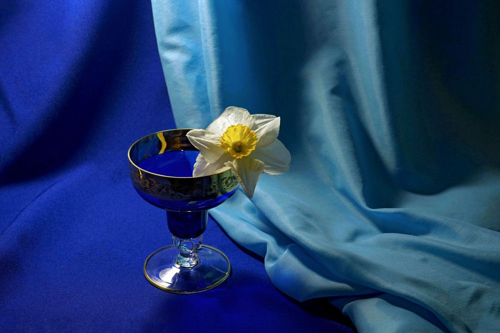 Photograph by Tatiana Glazkova