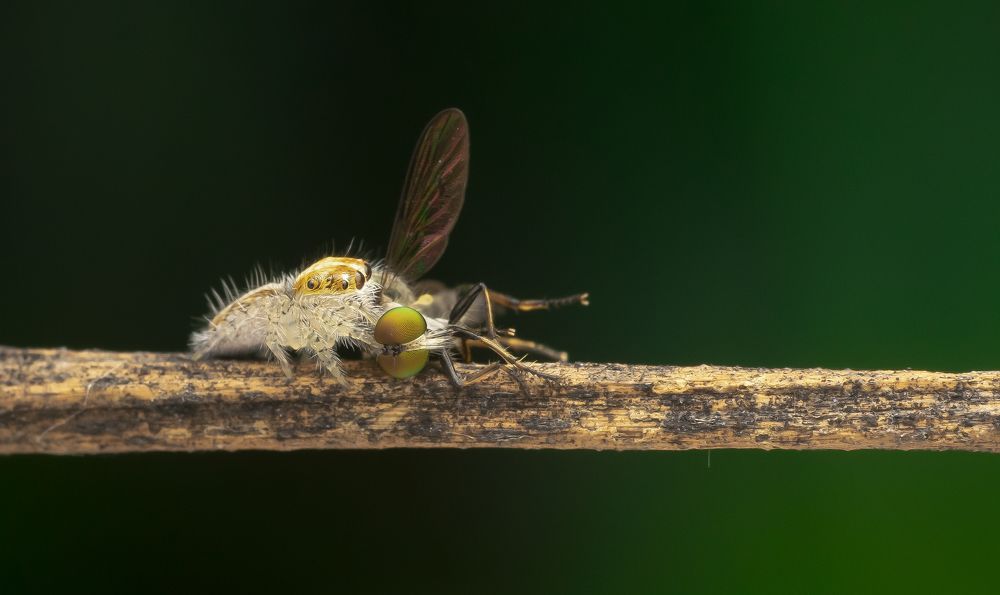 Photograph by Sumanta Dutta