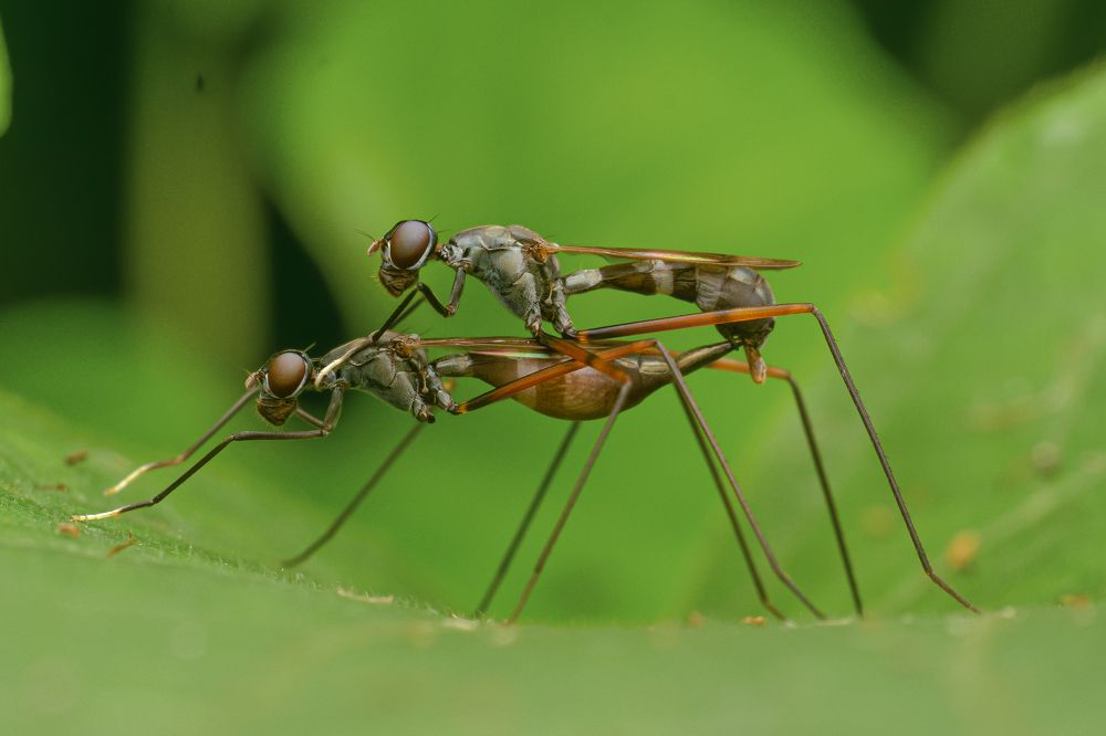 Photograph by Sumanta Dutta