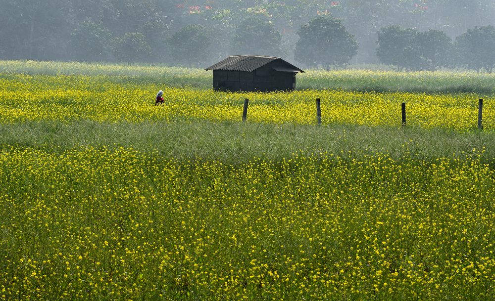 Photograph by Rohit Mazumdar