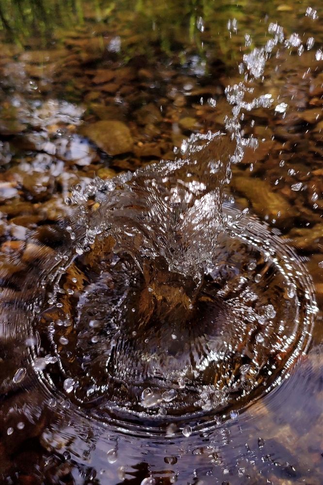 Photograph by Марианна Сорокина