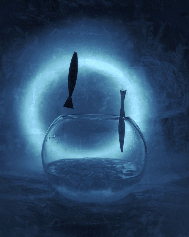 Photograph by Любовь Толстова