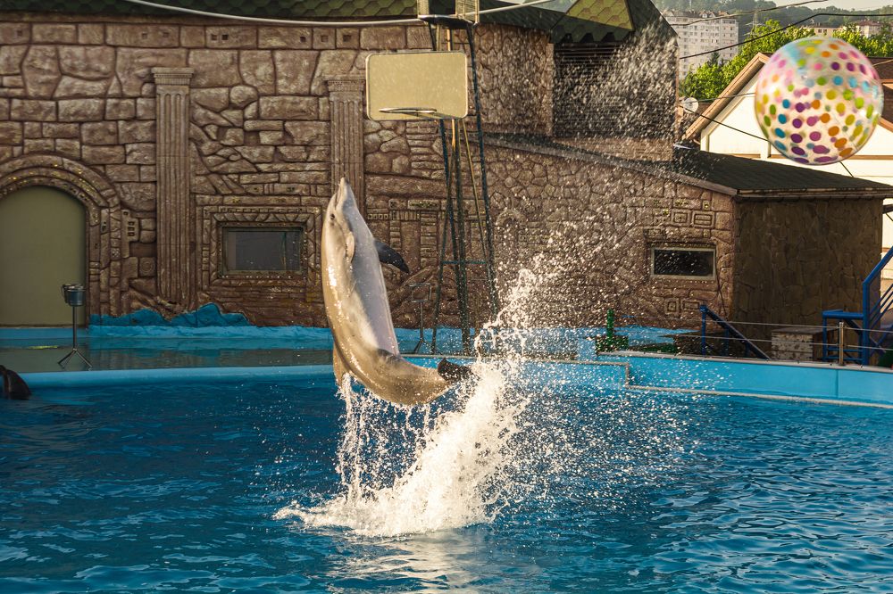 Photograph by Артём Александрович