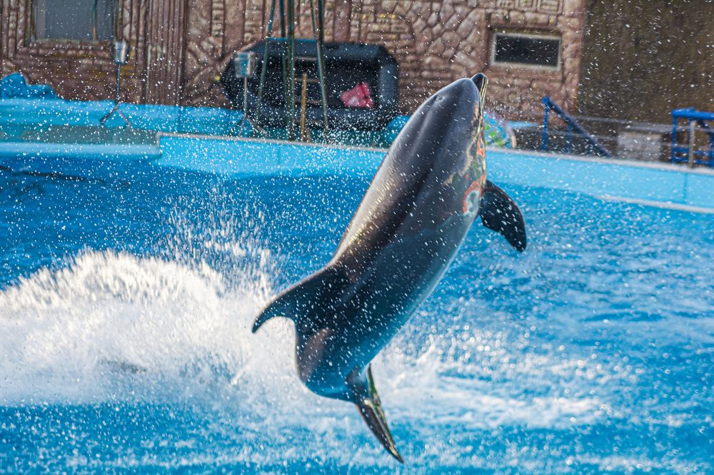 Photograph by Артём Александрович