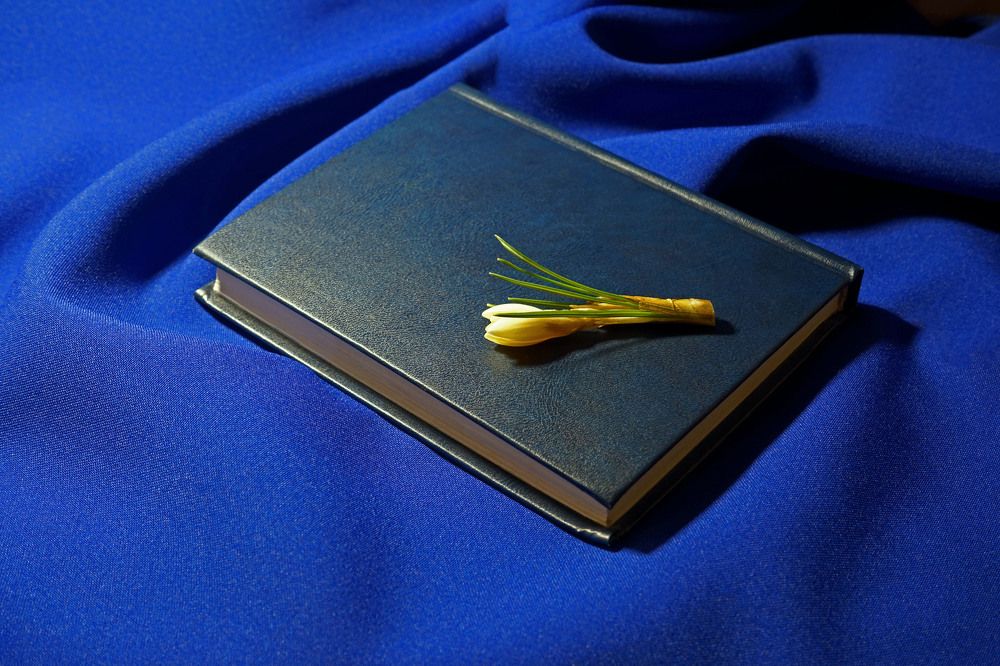 Photograph by Tatiana Glazkova