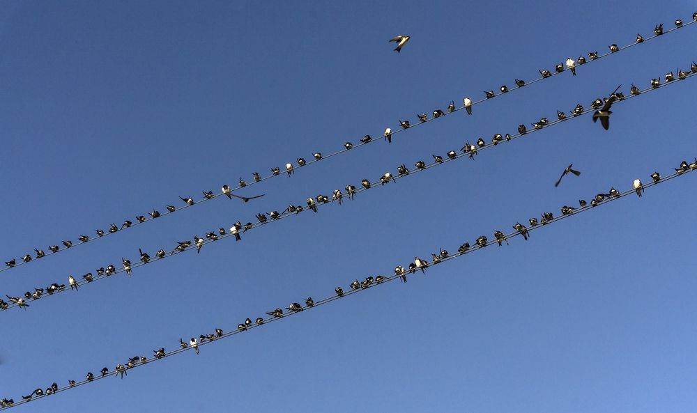 Фотография автора Milena Ivanova