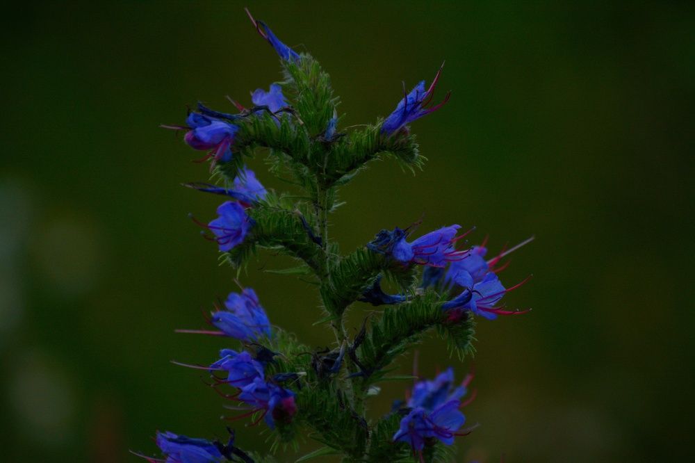 Photograph by Сергей Симаков