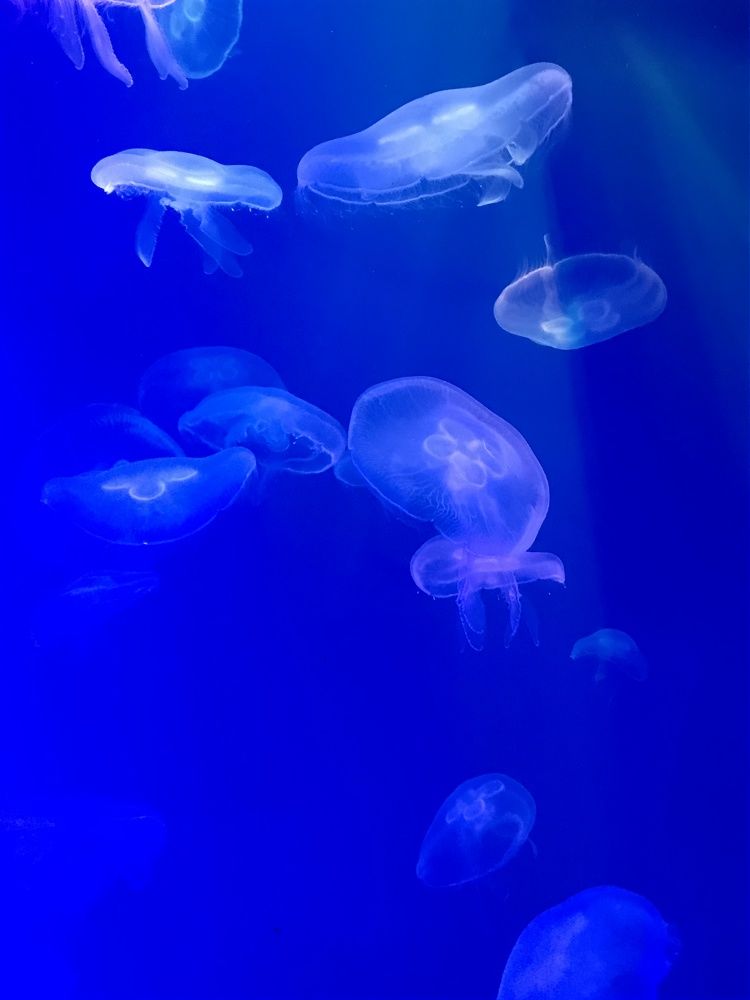 Photograph by Болдырева Ольга