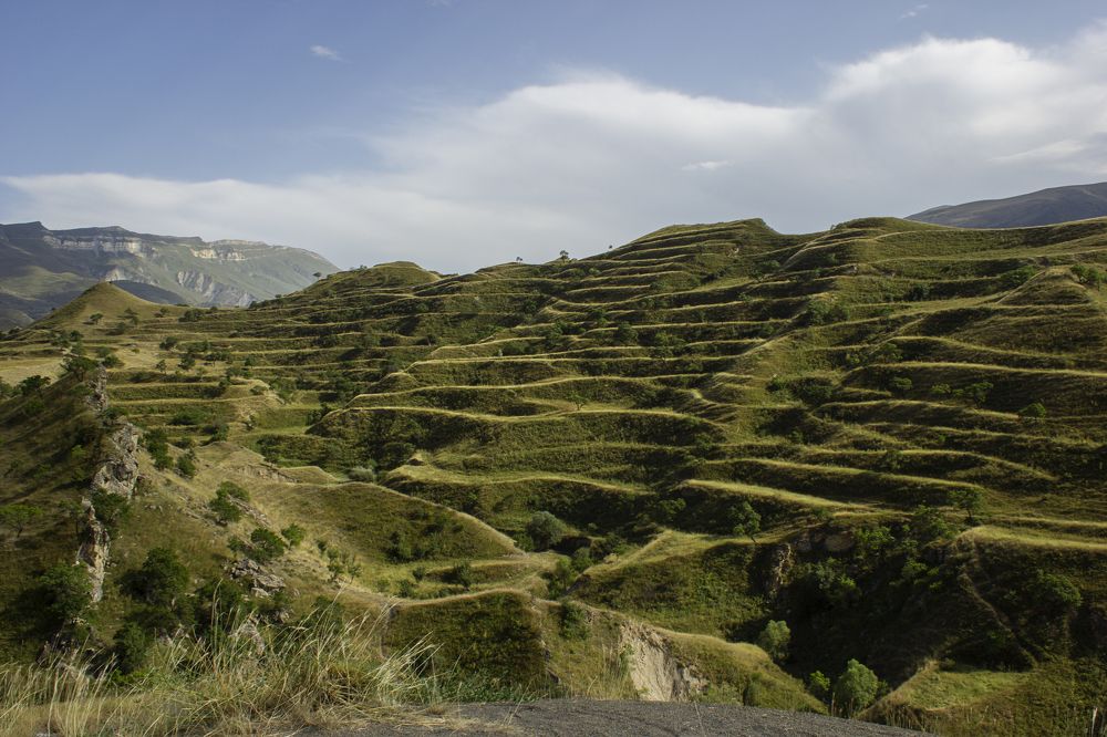 Photograph by Елена Галкина