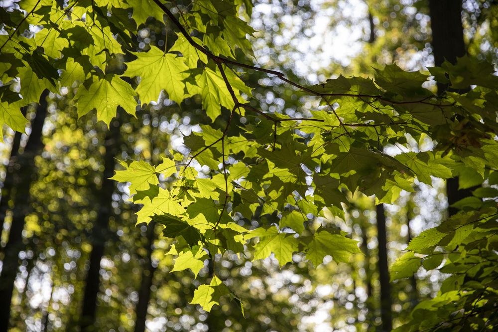 Photograph by Иван Соловьёв