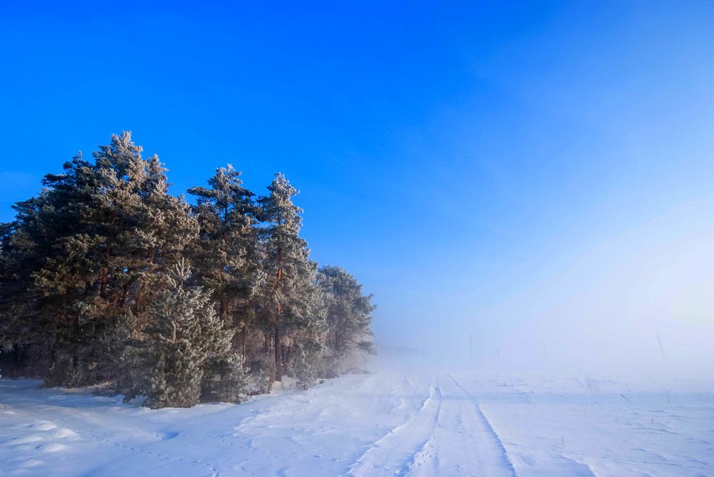 Фотография автора Александр Буренко