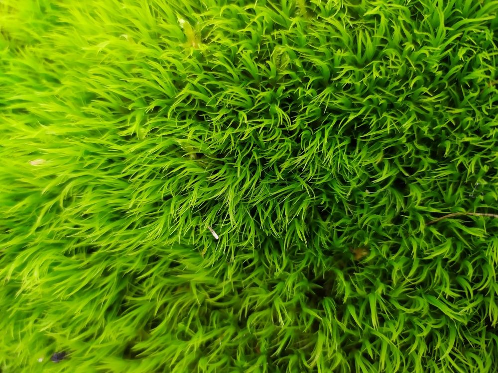 Photograph by Юлия Смирнова