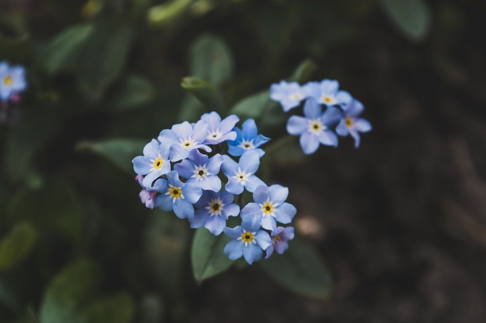 Photograph by Елизавета Большакова