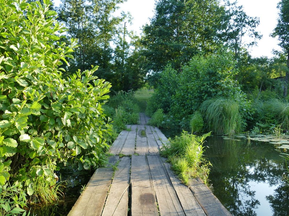 Photograph by Александр Кизим