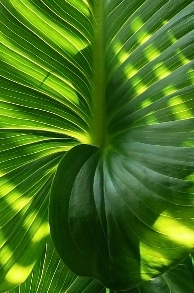 Photograph by Jasna Dragun