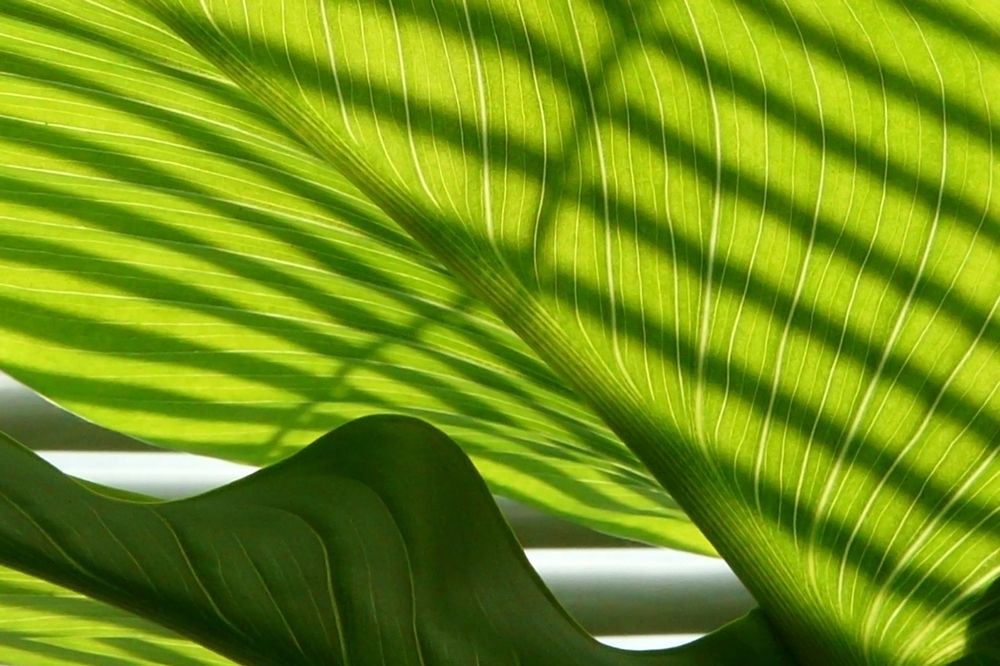 Photograph by Jasna Dragun