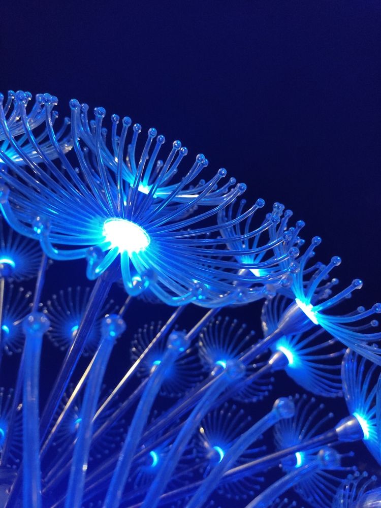 Photograph by Ирина Алексеевская