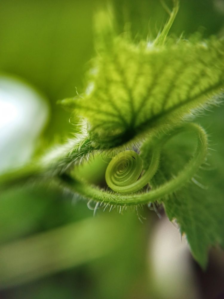 Photograph by Ольга Рогозина