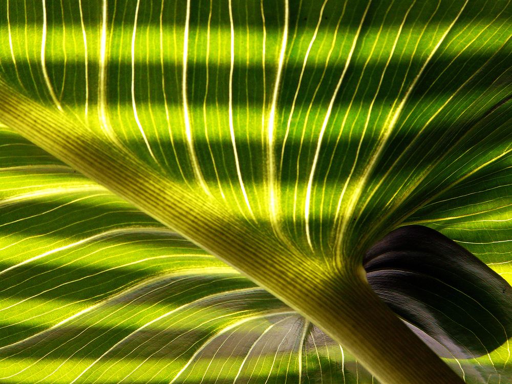 Photograph by Jasna Dragun