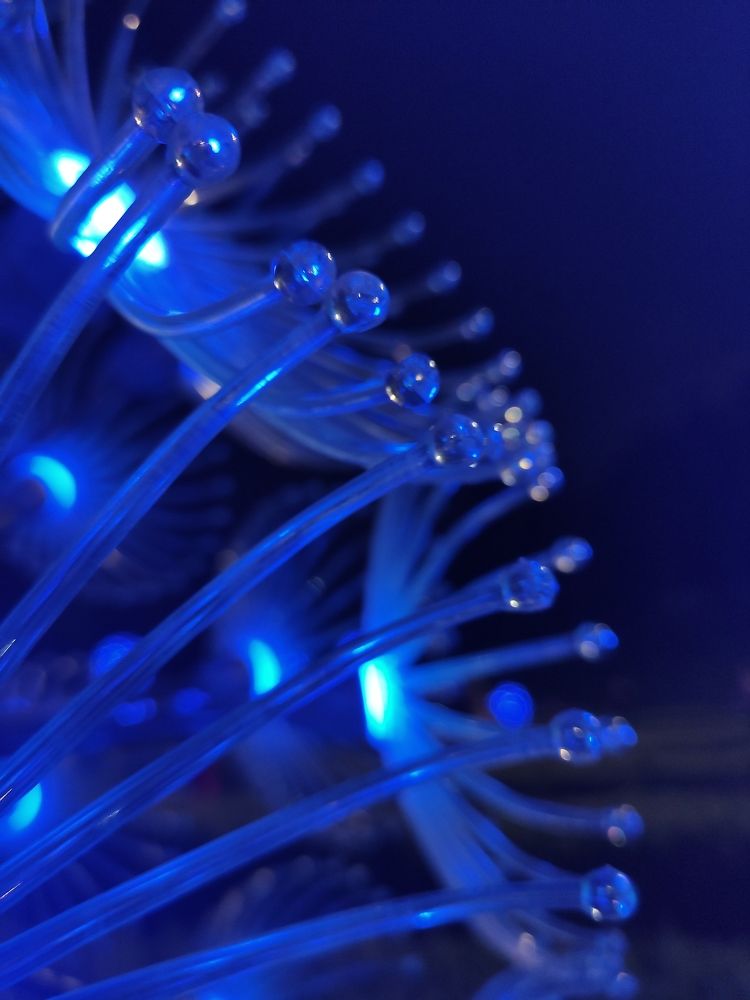 Photograph by Ирина Алексеевская