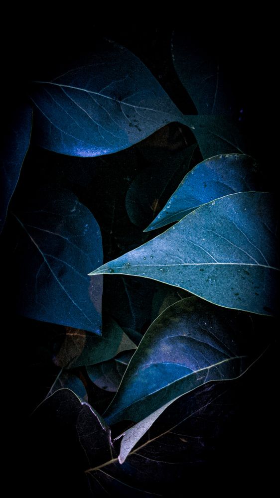 Photograph by Дарья Макаревич