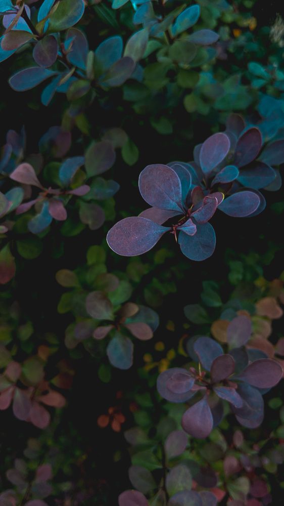 Photograph by Дарья Макаревич