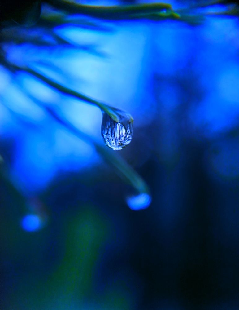 Photograph by Светлана Шелухеева