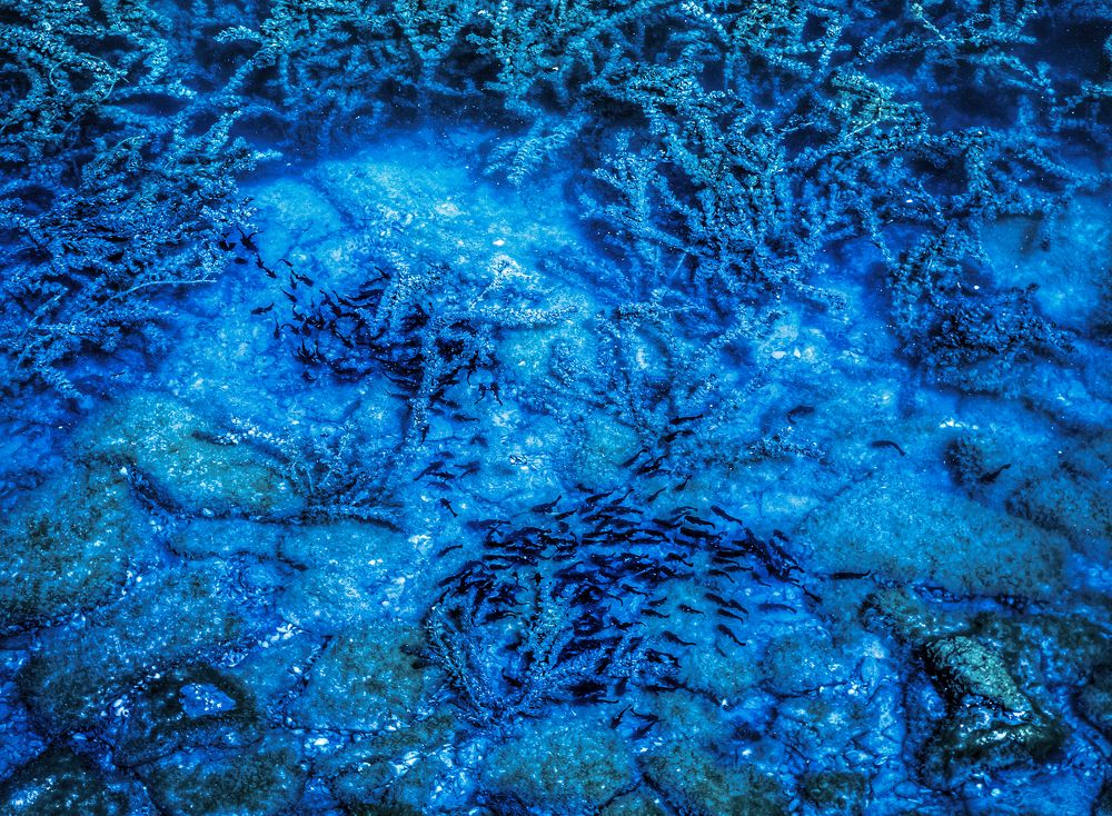 Фотография автора Nomin Jerabek