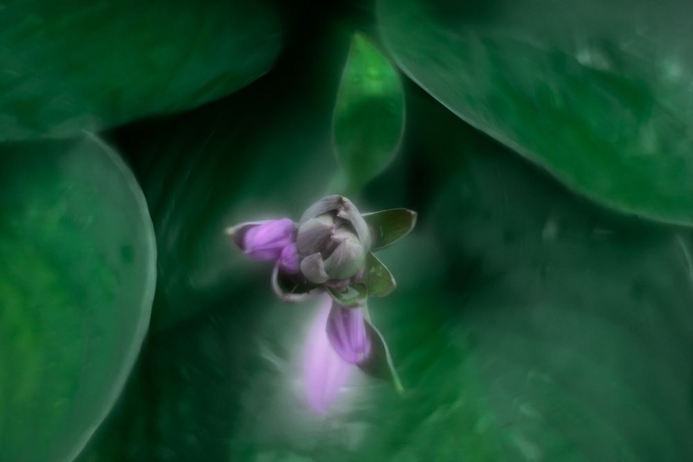 Photograph by Надежда Сидорова