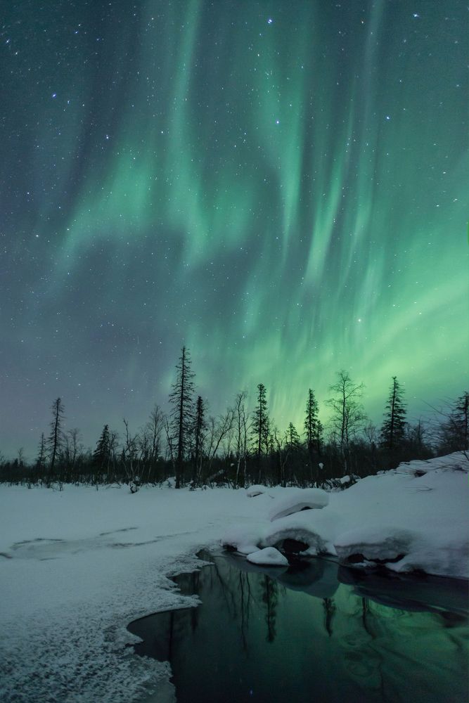 Цвет Севера